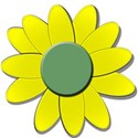 yellowflowergreendaisy