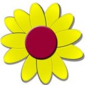 yellowredflowerdaisy