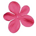 DZ_ALW_pink_Flower