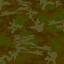 camoflauge background - Copy