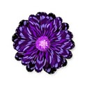 purple flower swirl
