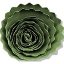 Rolled flower green