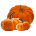 BD_Pumpkins_01