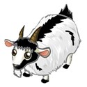 billy goat