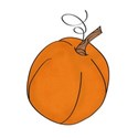 DZ_Abundance_pumpkin1