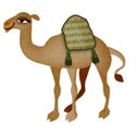 camel 2