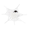 spiderweb2