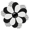 flower2black