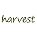 BD_harvest_glitter