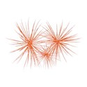 fireworksorange