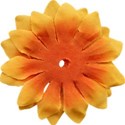 stierney-campout-flower2
