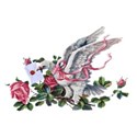 2013 dove with roses