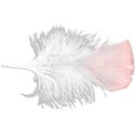 Feather R