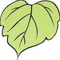 Leaf 02