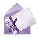 BD_Envelope_01