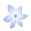 flower blue 2