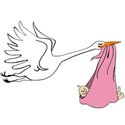 stork pink