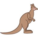 DZ_MB_kangaroo