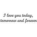 I Love You…Today, Tomorrow And Forever