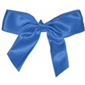 blue bow 1