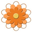 orange flower 2