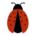 ladybugsh