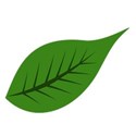 leaf 4