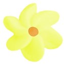 yellow flower 3