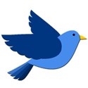 bird blue