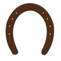 horseshoe brown