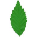 Leaf 03