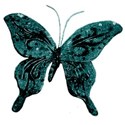 butterfly teal