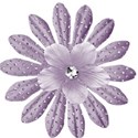 flower 3 purple