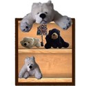 bear shelf