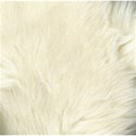 white bear fur