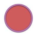 frame_circle_large_pink