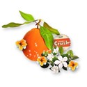 chey0kota_OrangeCrush_cluster 1
