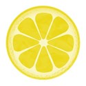 jennyL_citrus_summer_lemon