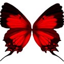 red butterfly2