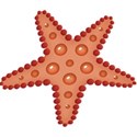 kitc_randr_starfish