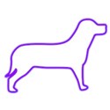 Dog purple