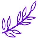 Leaves purple