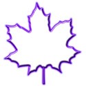 Maple Leaf purple neon