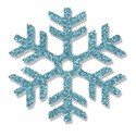 jennyL_glitterybday_snowflake3