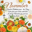 chey0kota_11 November_Birthday