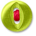 button_5