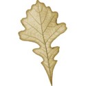 cwJOY-Thankful-leaf1