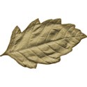 cwJOY-Thankful-leaf4