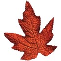 cwJOY-AutumnLove-leaf4