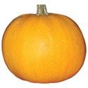 cwJOY-AutumnLove-pumpkin2